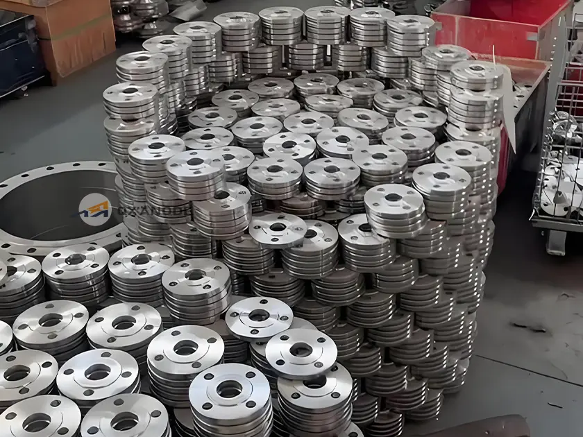 Titanium flange for chemical industry